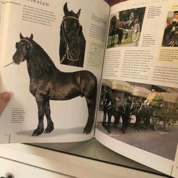 Horse book - Picture 3 of 3